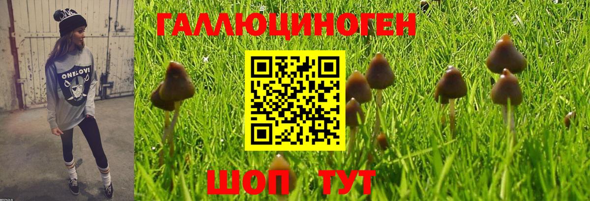 Галлюциногенные грибы GOLDEN TEACHER Ивантеевка